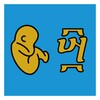 秋秋影电影免费观看全站版